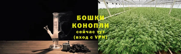 прущие грибы Зеленодольск