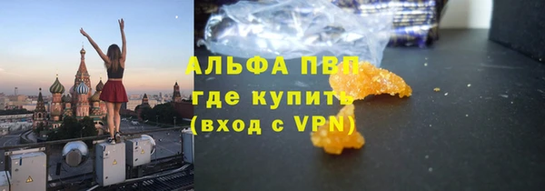 прущие грибы Зеленодольск