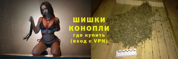 прущие грибы Зеленодольск