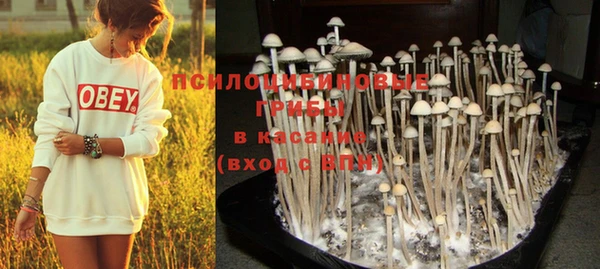 mdma Зерноград