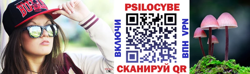 Галлюциногенные грибы Psilocybine cubensis  Купить где  Новый Оскол 